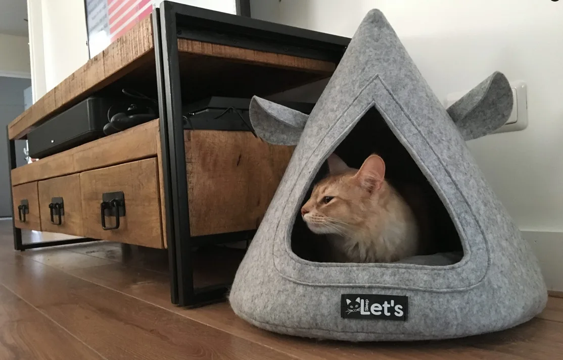 Oudere kat die comfortabel slaapt in een kattenbed